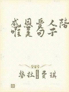 感恩爱人陪伴的唯美句子