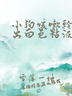 小狗咳嗽干呕吐出白色粘液