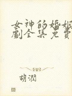 女神的婚姻电视剧全集免费观看