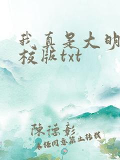 我真是大明星精校版txt