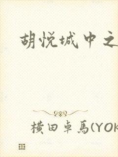 胡悦城中之城