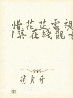 惜花芷电视剧21集在线观看