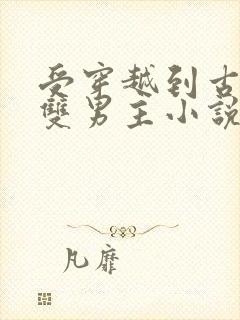 受穿越到古代的双男主小说