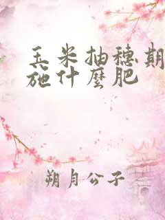 玉米抽穗期需要施什么肥