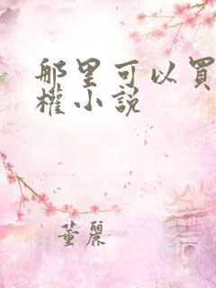 那里可以买到版权小说