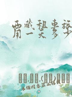 西藏租车旅游费用一天多少