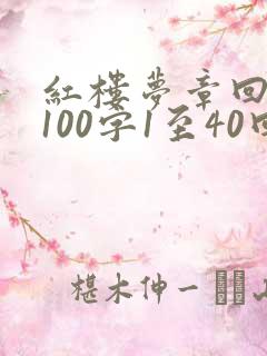 红楼梦章回概括100字1至40回