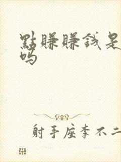 点赚赚钱是真的吗
