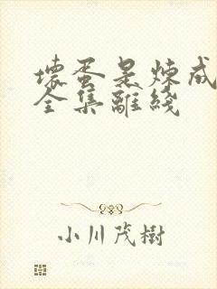 坏蛋是炼成的1全集离线
