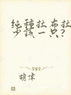 纯种拉布拉多多少钱一只?