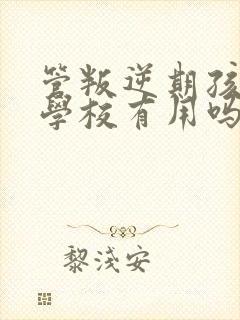 管叛逆期孩子的学校有用吗 管叛逆期孩子的学校有用吗