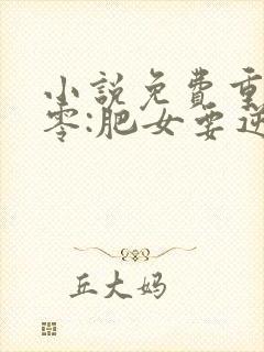 小说免费重生八零:肥女要逆袭