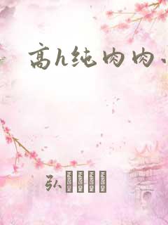 高h纯肉肉小说