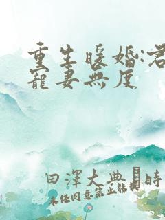 重生暖婚:君少宠妻无度
