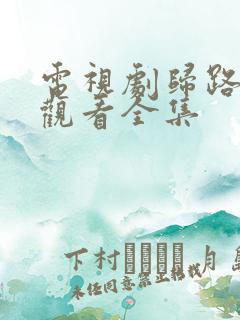 电视剧归路免费观看全集