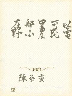 在哪里可以看狂野小农民电视剧