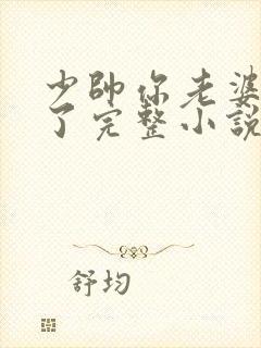 少帅你老婆又跑了完整小说