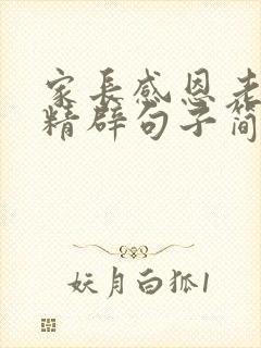 家长感恩老师的精辟句子简短
