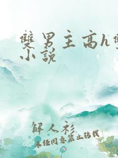 双男主高h双性小说 双男主高h双性小说