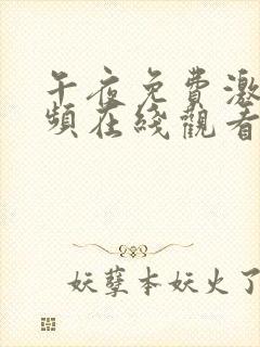 午夜免费激情视频在线观看