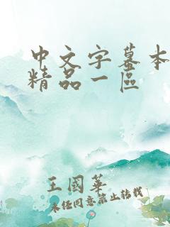 中文字幕本久久精品一区