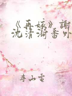 《再嫁》谢臣宁沈清漪番外