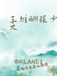 王维酬张少府译文