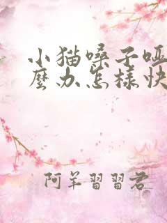 小猫嗓子哑了怎么办怎样快速恢复