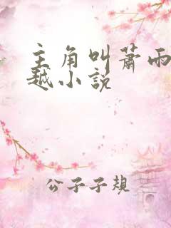 主角叫萧雨的穿越小说