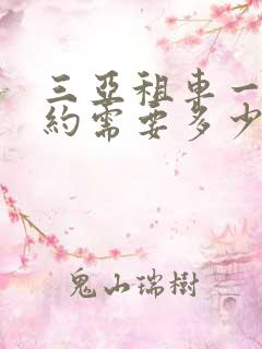 三亚租车一天大约需要多少钱