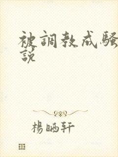 被调教成骚货小说