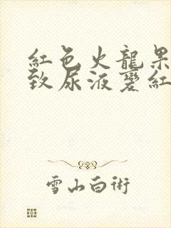 红色火龙果会导致尿液变红吗