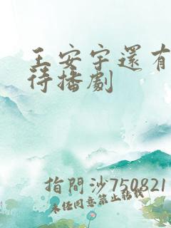 王安宇还有几部待播剧
