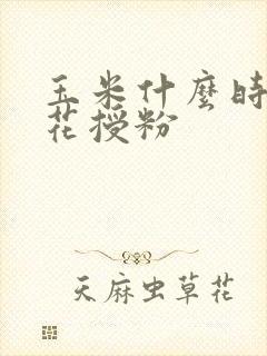 玉米什么时候扬花授粉