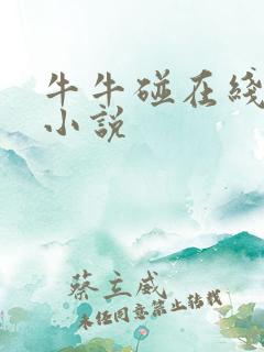 牛牛碰在线视频小说