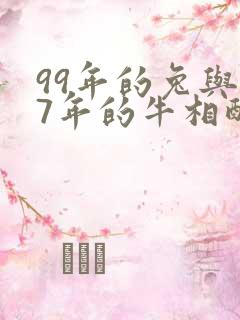 99年的兔与97年的牛相配吗