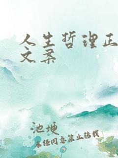 人生哲理正能量文案 人生哲理正能量文案