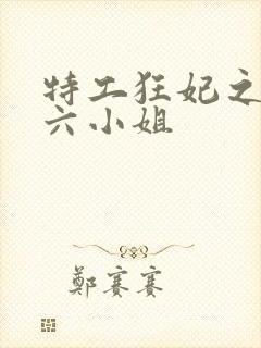 特工狂妃之腹黑六小姐