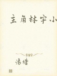 主角林宇小说