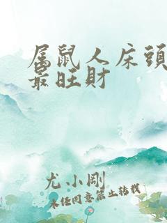 属鼠人床头朝哪最旺财