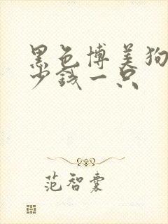 黑色博美狗狗多少钱一只