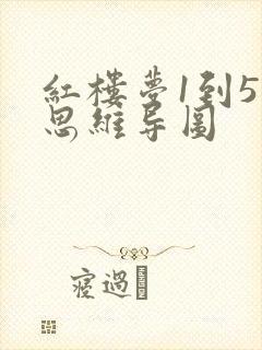 红楼梦1到5章思维导图