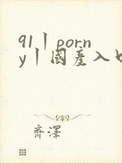 91丨porny丨国产入口
