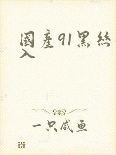 国产91黑丝后入