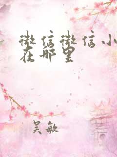 微信微信小程序在哪里