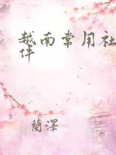 越南常用社交软件