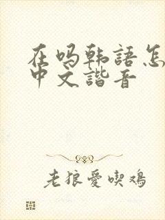 在吗韩语怎么说中文谐音