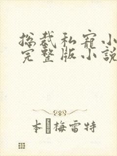 总裁私宠小娇妻完整版小说