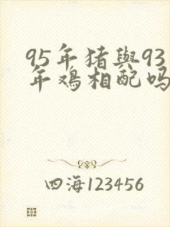 95年猪与93年鸡相配吗