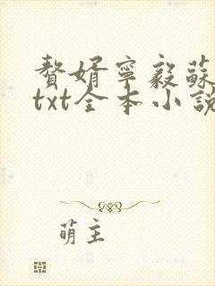 赘婿宁毅苏檀儿txt全本小说